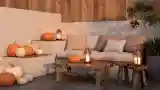 Japandi Terrace with Pumpkins