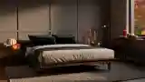 Mid Century Modern Bedroom