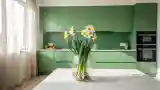 Minimalist Kitchen in Winter Green