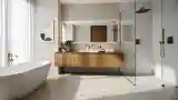 Mid Century Modern Luxury Bathroom