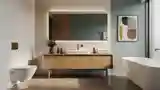 Minimalist Mid Century Modern Bathroom