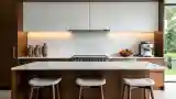 Luminous Mid Century Modern Kitchen