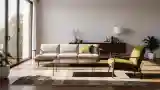 Mid Century Modern Living Room